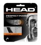 Head Perfect Power squash húr